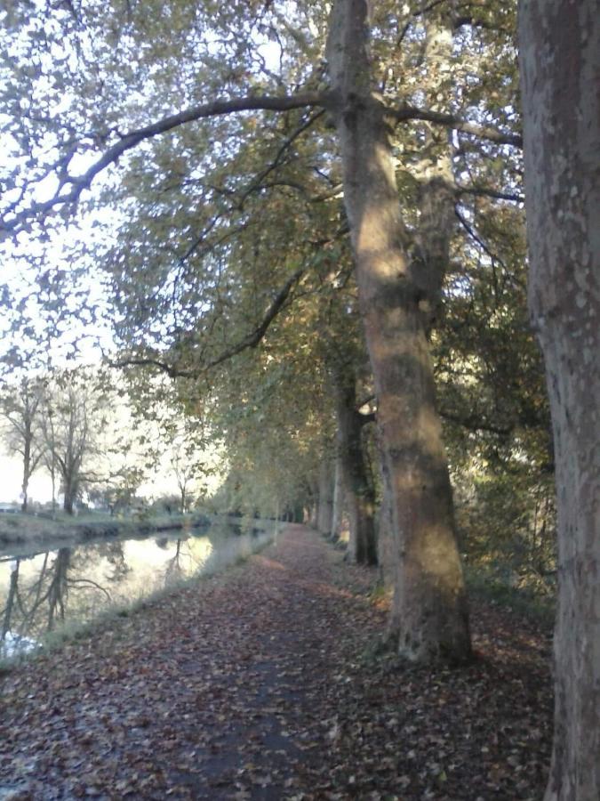 Gite 3 Etoiles "Entre Sources Et Riviere" Besancon Vaire-le-Grand Екстер'єр фото